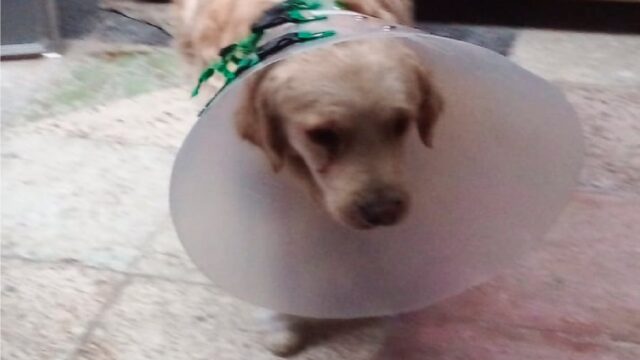 472751693_633634209020392_2456941266135050067_n