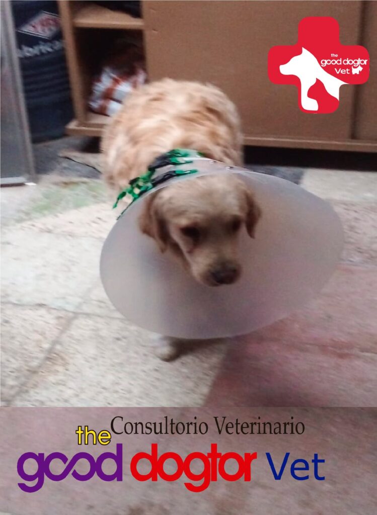 472751693_633634209020392_2456941266135050067_n