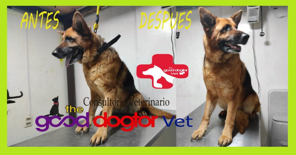 472752156_633638699019943_1372817462307081465_n