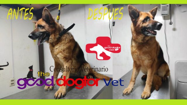 472752156_633638699019943_1372817462307081465_n