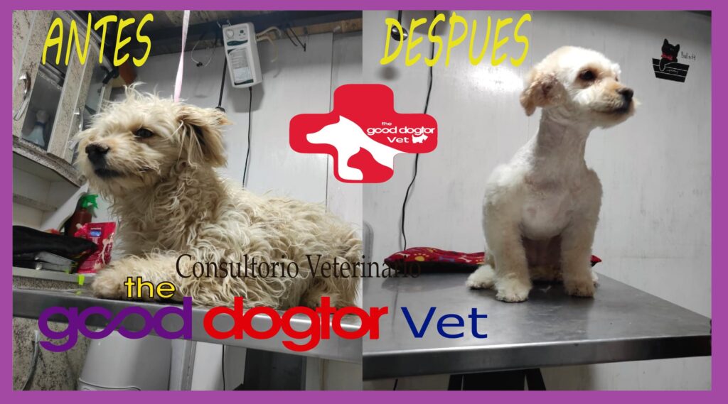 472843280_633638649019948_6842458126914433452_n