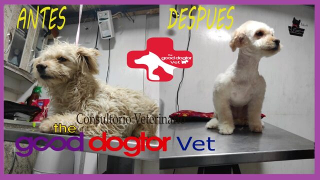 472843280_633638649019948_6842458126914433452_n