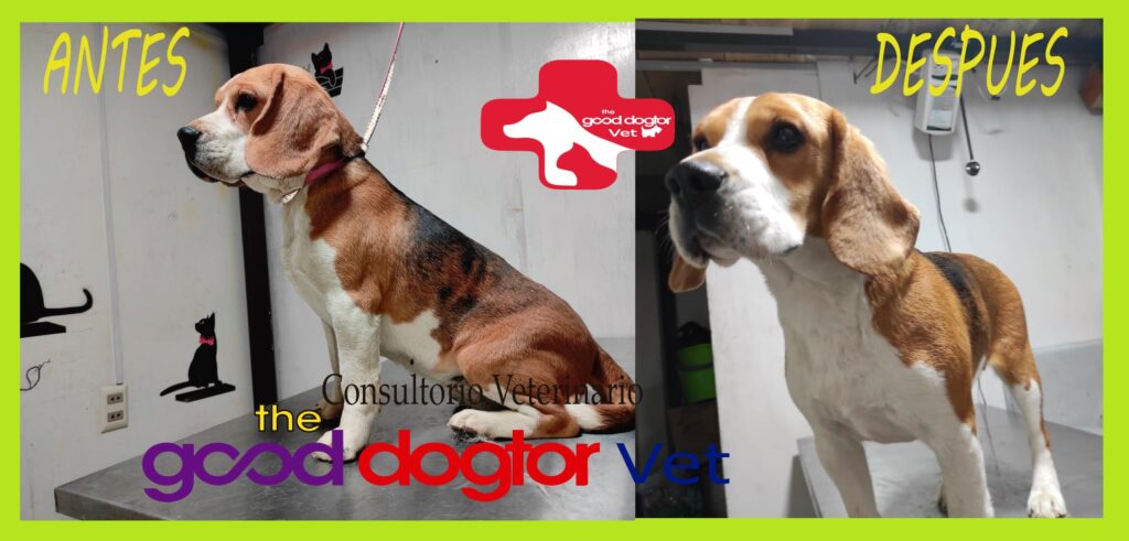 472927322_633639139019899_725406276848515353_n