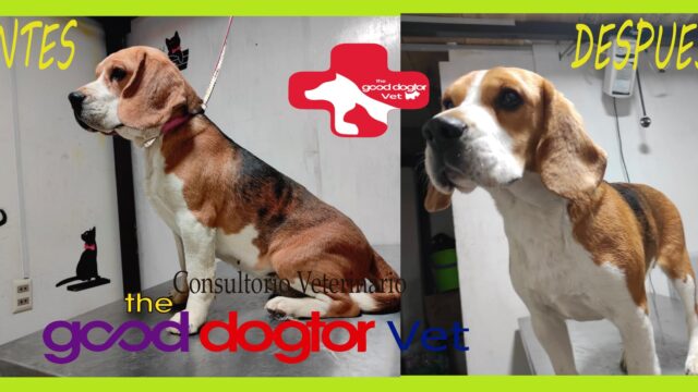 472927322_633639139019899_725406276848515353_n