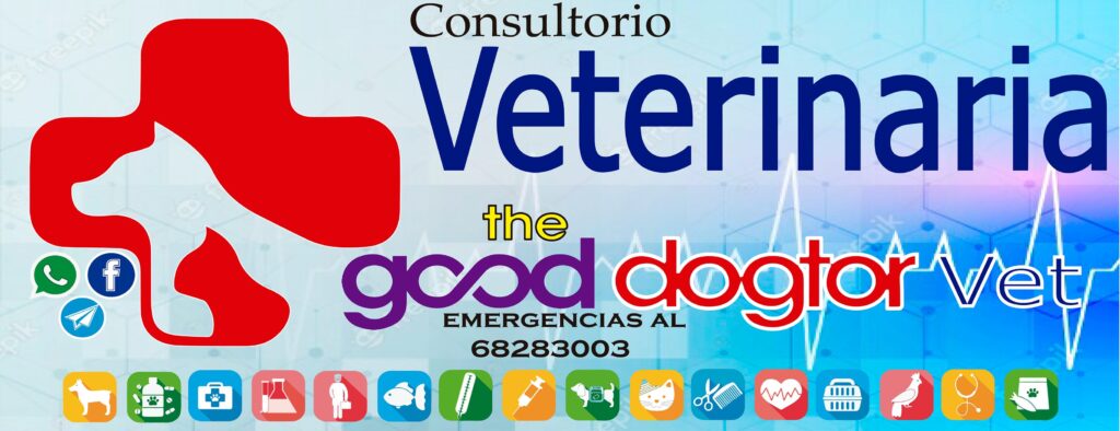 472935587_633633392353807_4234825271719797033_n