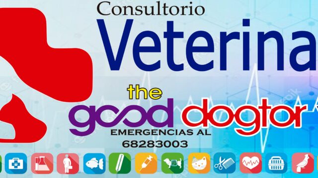 472935587_633633392353807_4234825271719797033_n