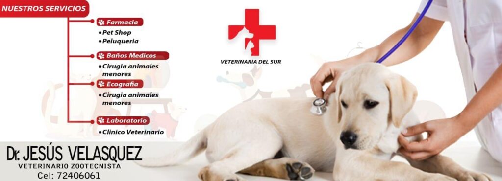 473317012_931061109167552_1652545233562741502_n