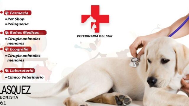 473317012_931061109167552_1652545233562741502_n