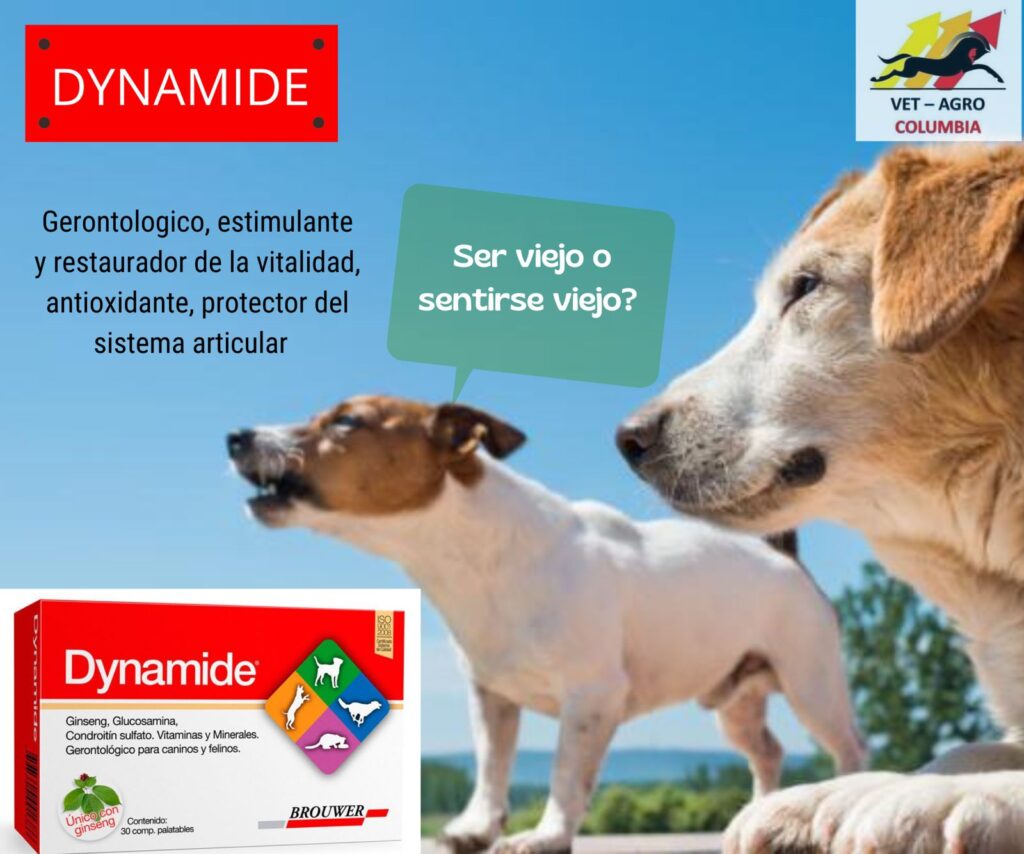 473420241_1129467905546346_2966733116091092442_n