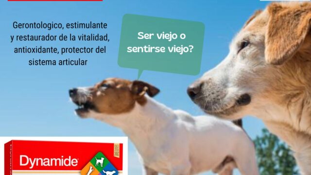 473420241_1129467905546346_2966733116091092442_n