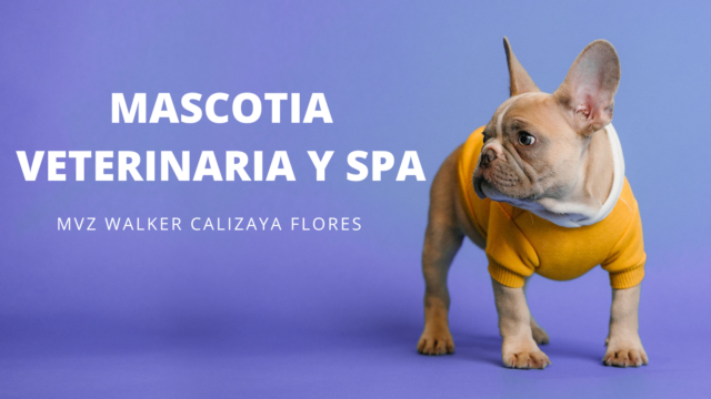 473421687_1141361128000308_6125810771257705479_n