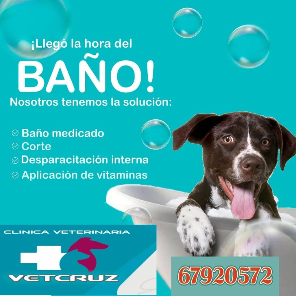 473834840_623576900349596_6959950219651812417_n