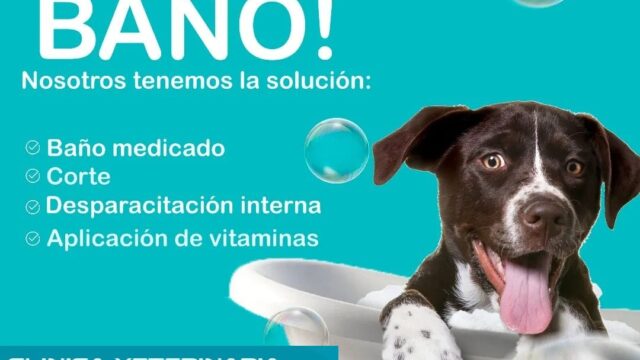 473834840_623576900349596_6959950219651812417_n