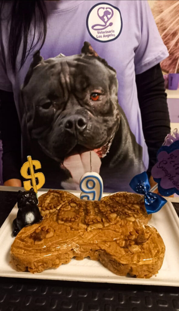 474126838_947740950802319_3892520295780267551_n