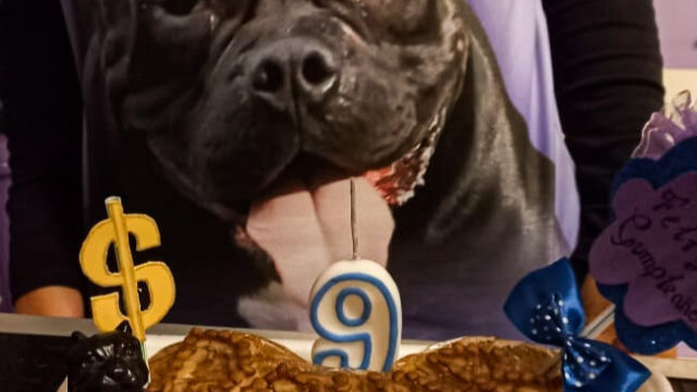 474126838_947740950802319_3892520295780267551_n