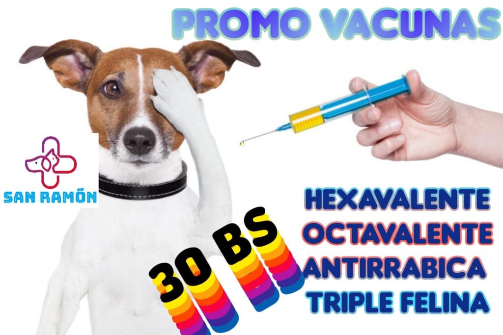 474245345_1311382180294174_8682570674923037700_n