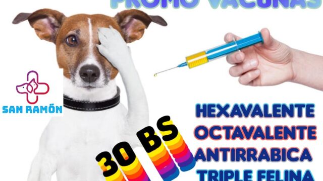 474245345_1311382180294174_8682570674923037700_n