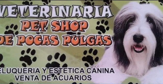 474451977_1121312653119295_4442059679635210208_n