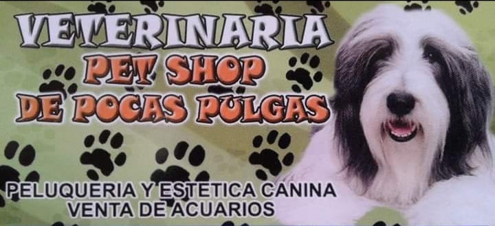 474451977_1121312653119295_4442059679635210208_n