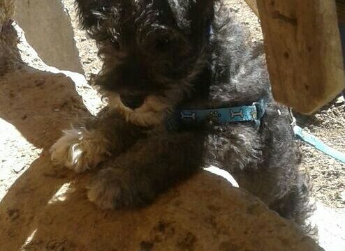 474540428_1066318542174343_3294248507913010745_n