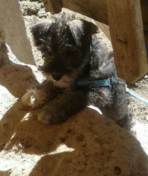 474540428_1066318542174343_3294248507913010745_n