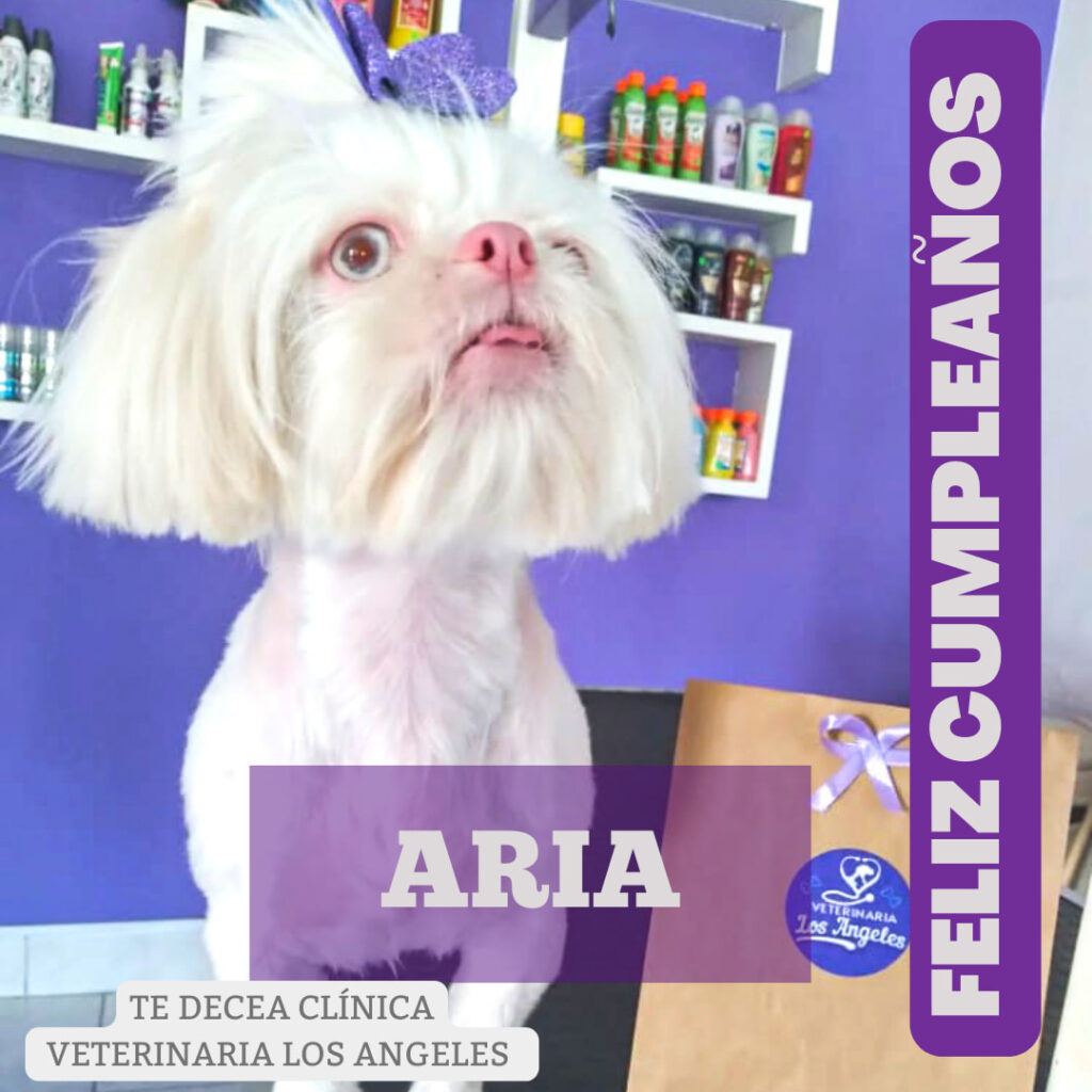 474570572_950120533897694_5883742926090845303_n