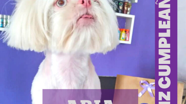 474570572_950120533897694_5883742926090845303_n