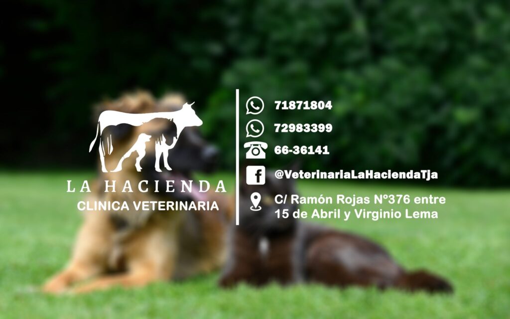 474630347_1140529427986635_7820383359280741180_n