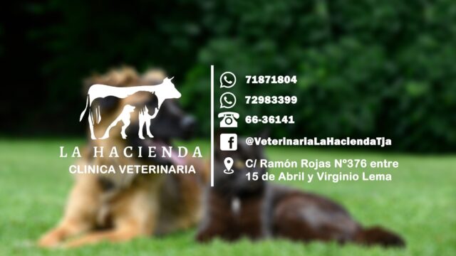 474630347_1140529427986635_7820383359280741180_n