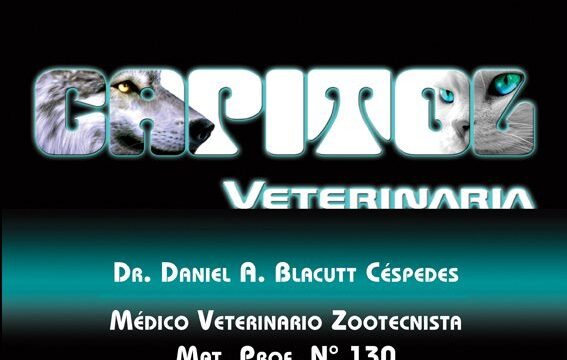 474735523_1116914556799189_6015753436812725939_n