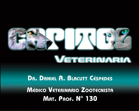 474735523_1116914556799189_6015753436812725939_n