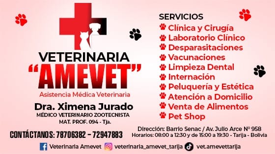 474927745_1038039698344325_50837947240596643_n