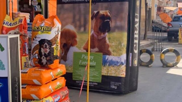 475025994_1101412641995956_2420159019299831429_n