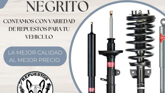 475115351_1158239556116534_6462164557198803138_n