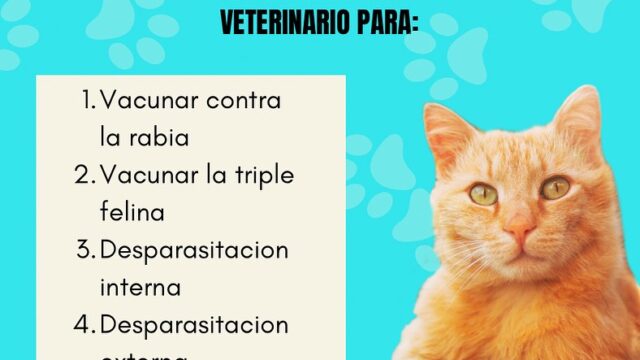 475157245_1117541136736531_7531825844854078130_n