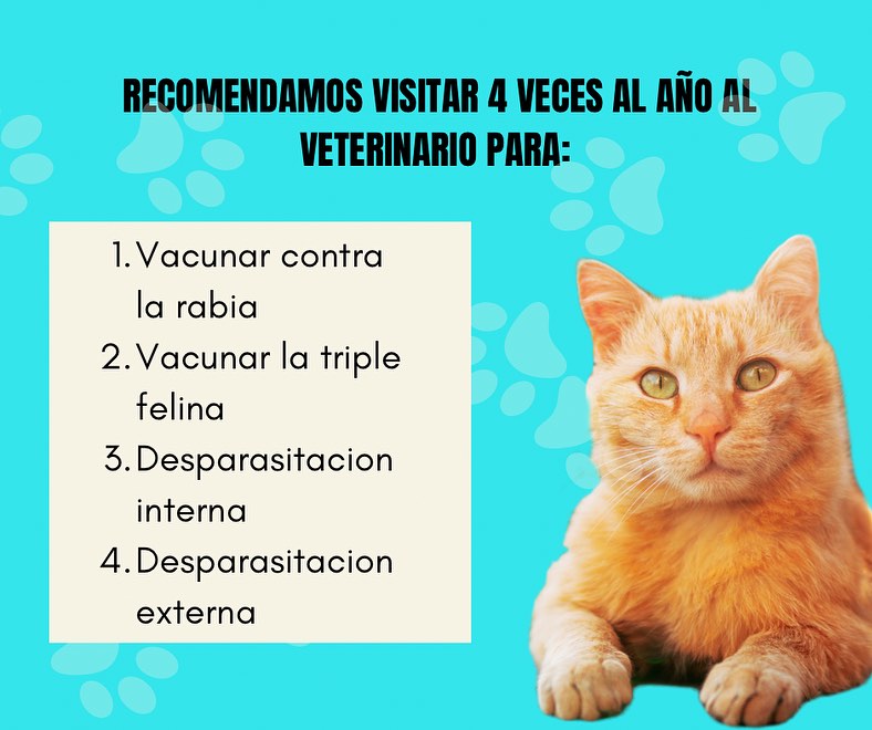 475157245_1117541136736531_7531825844854078130_n