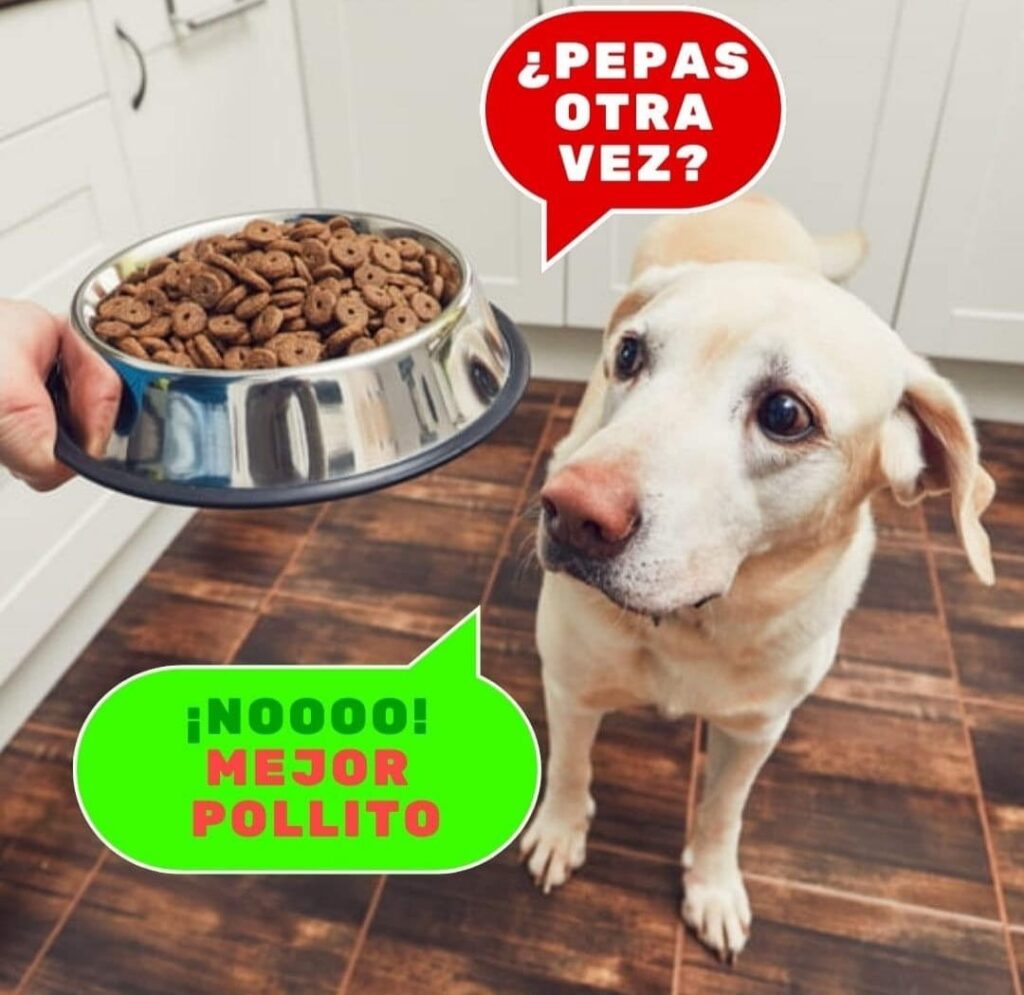 475163131_942842431280864_7409861634960728904_n