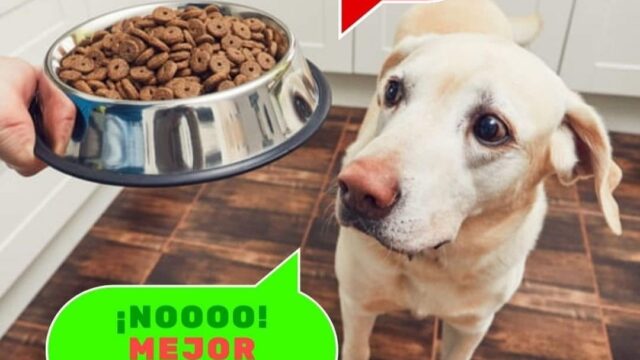 475163131_942842431280864_7409861634960728904_n