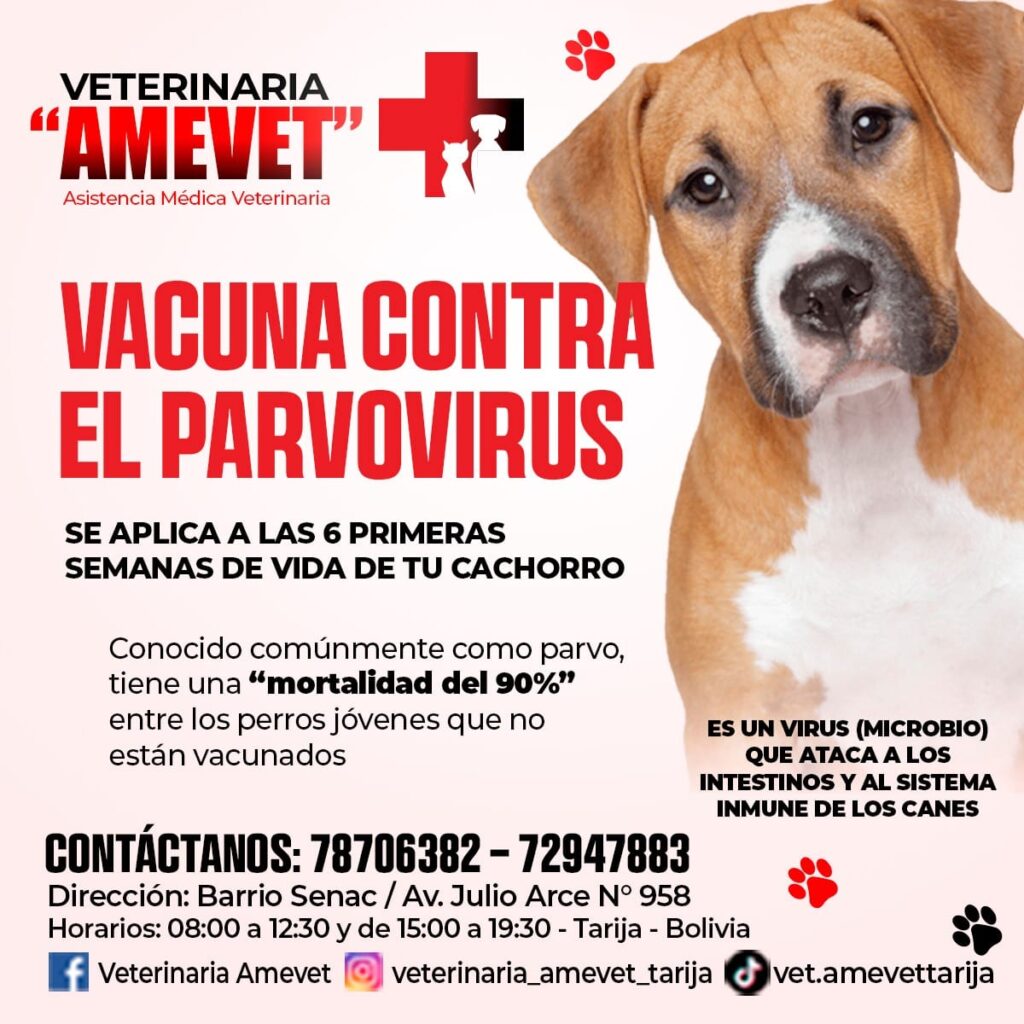 475210040_1040401968108098_2151139971182631627_n