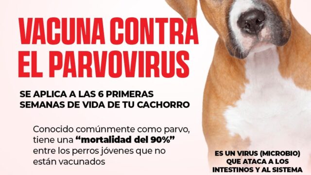 475210040_1040401968108098_2151139971182631627_n