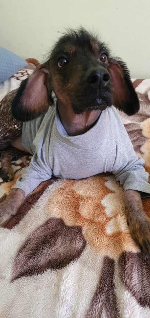 475296151_943398141225293_7206941534219974855_n