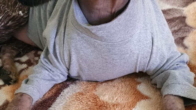 475296151_943398141225293_7206941534219974855_n