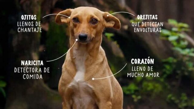 475305446_953039736939107_881980212969708387_n