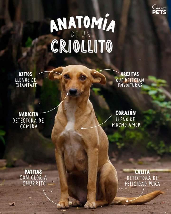 475305446_953039736939107_881980212969708387_n