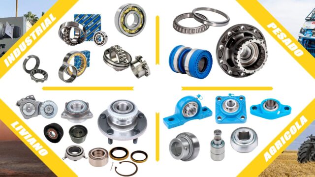 475424771_122215201436038743_2653650223350107201_n