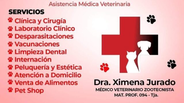 475507859_1041001491381479_2562498161548528270_n