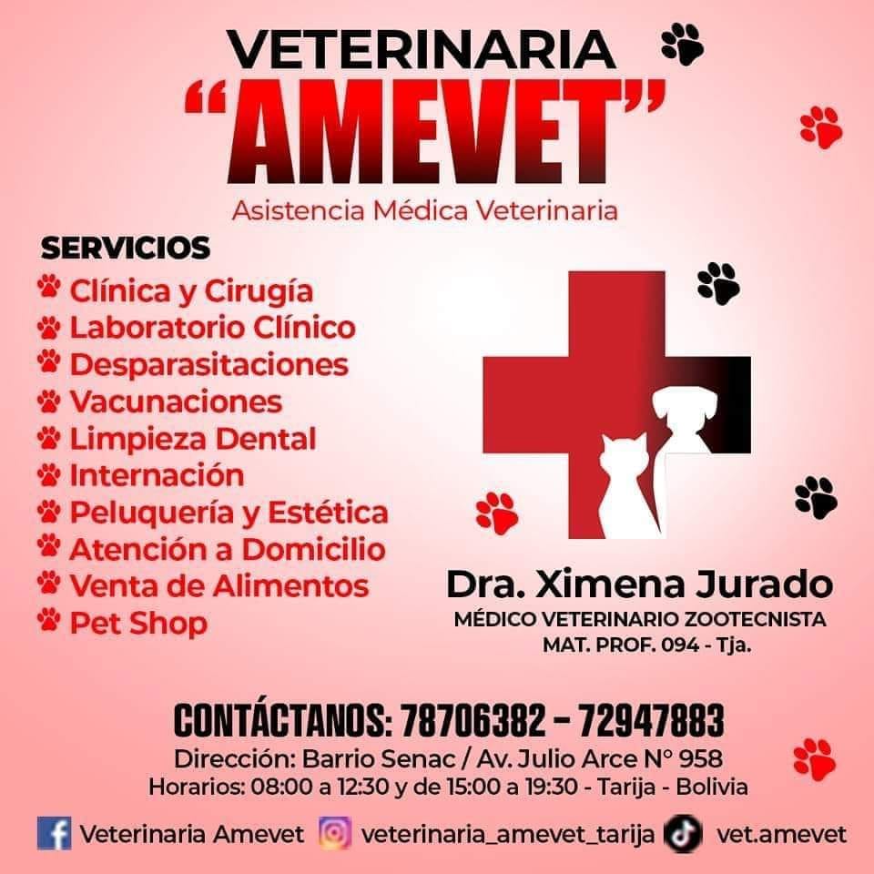 475507859_1041001491381479_2562498161548528270_n