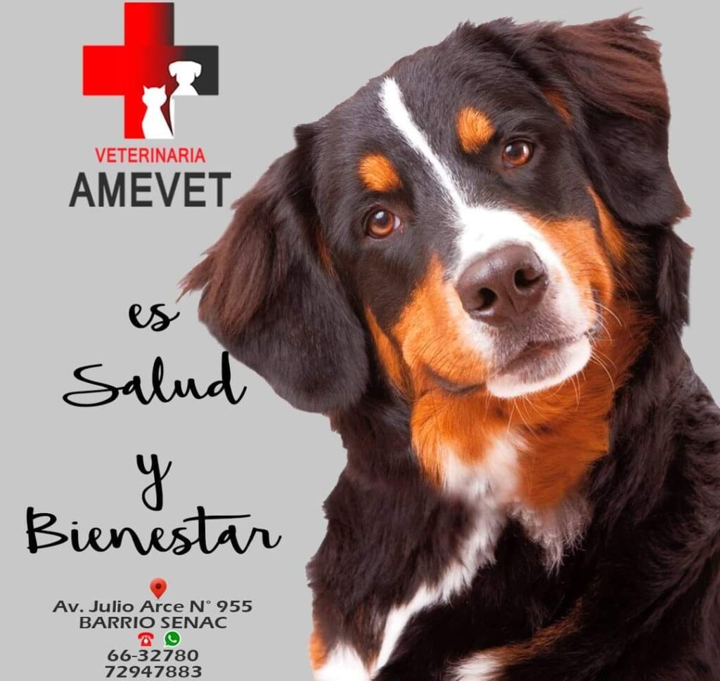 475970937_3451783408462050_5193207207743237183_n