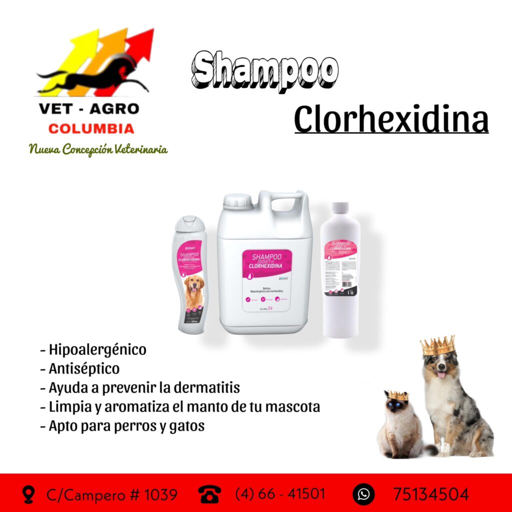 475994557_1142360390923764_3310270316977675066_n