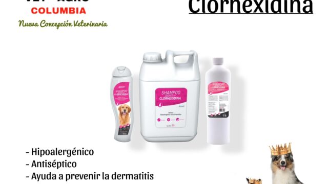 475994557_1142360390923764_3310270316977675066_n